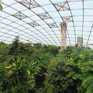 View across Gondwanaland