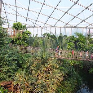 View across Gondwanaland