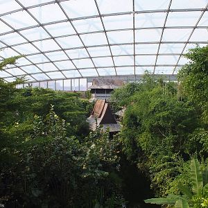 View in Gondwanaland