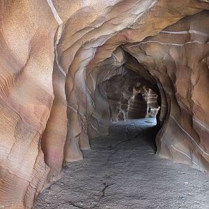 Pathway Exiting Gondwanaland