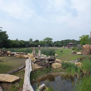 View in Africa Section