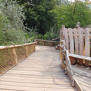 Pathway Around 'Kiwara Savannah'