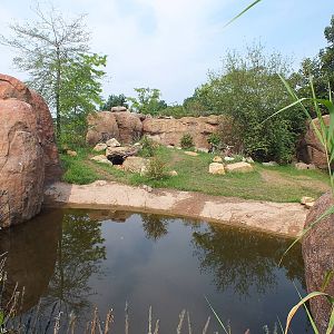 Spotted Hyena Enclosure