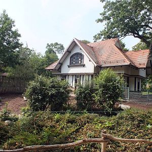 Enclosures for Anoa and Visayan Warty Pig