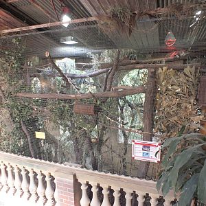 Sri-lankan Giant Squirrel Enclosure