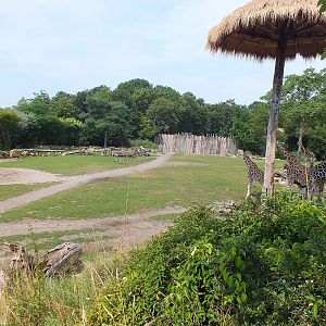 View over 'Kiwara Savannah'