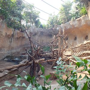Example Indoor Ape Enclosure in Pongoland