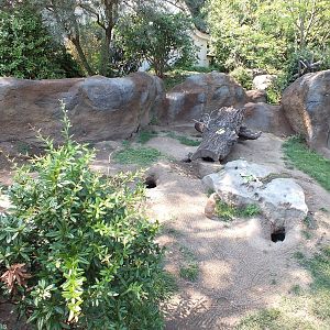 Prairie Dog Enclosure