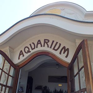 Entrance to Aquarium