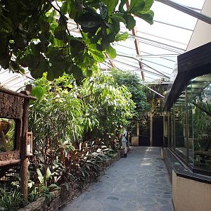 Reptile Section of Aquarium