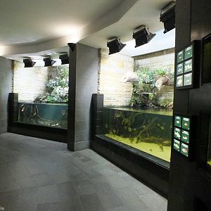 Some of the Tanks in the Aquarium