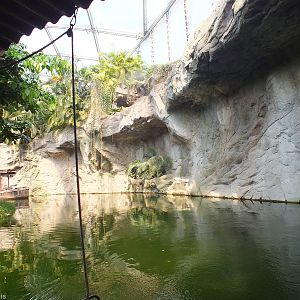 View from the Boat Ride in Gondwanaland