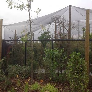 Bail starling temple