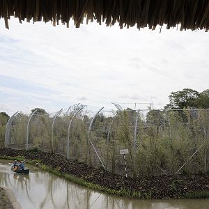 More Islands: Tiger Enclosure