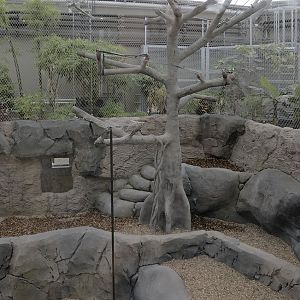 Monsoon Forest: eastern orang enclosure
