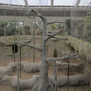 Monsoon Forest: south west orang enclosure
