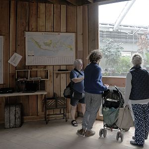 Monsoon Forest: orang viewing area