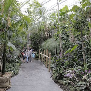 Monsoon Forest: looking back from exit