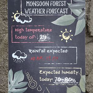 Monsoon Forest: Signage