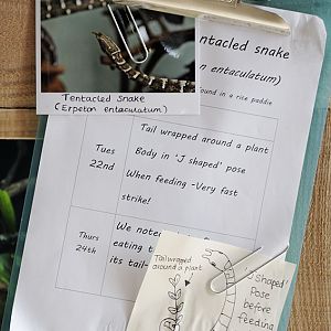 Monsoon Forest: Signage