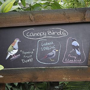 Monsoon Forest: Signage