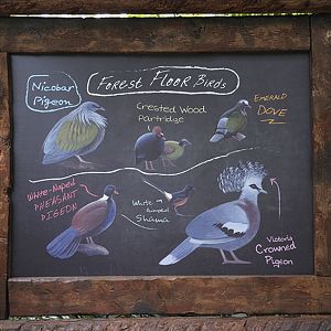 Monsoon Forest: Signage