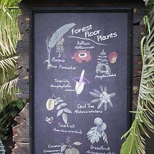 Monsoon Forest: Signage