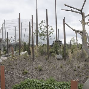 Monsoon Forest: orang outdoor enclosure
