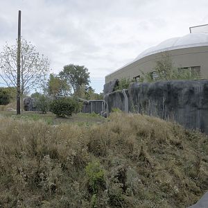 Monsoon Forest: macaque outdoor enclosure