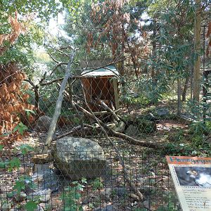 Peregrine Falcon Exhibit