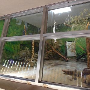 Hyacinth Macaw Exhibit