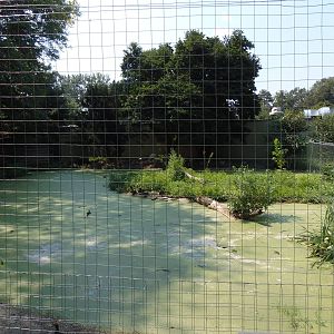 Whooping Crane Exhibit
