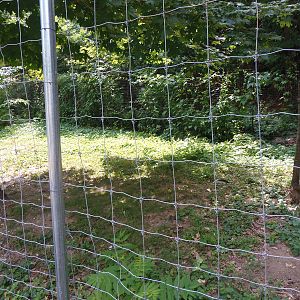 Black-Necked Crane Exhibit
