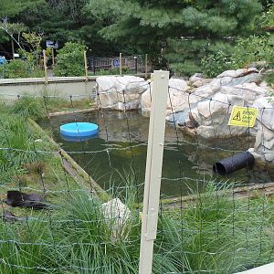 North American River Otter Exhibit