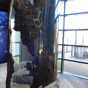 8/6/2015 - Gulf Coast (Cylinder Tank)