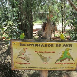 aviary sign africam safari