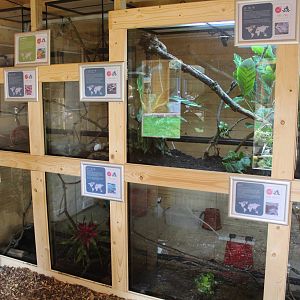 Amphibian House; Hemsley Conservation Centre