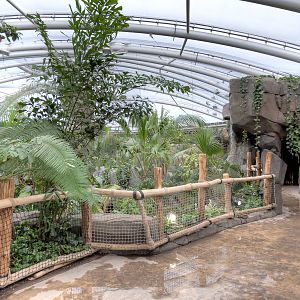 Monsoon Forest - 22/08/2015