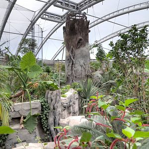 Monsoon Forest - 22/08/2015