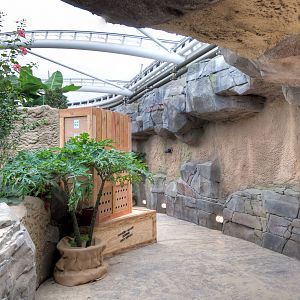 Monsoon Forest - 22/08/2015