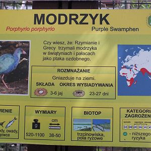 Example of re-done Sign