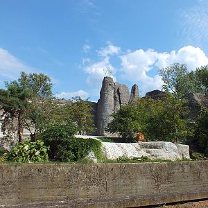 One of the Lion Enclosures