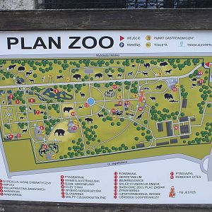 New Map of the Zoo