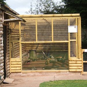 Completed outdoor Meerkat enclosure