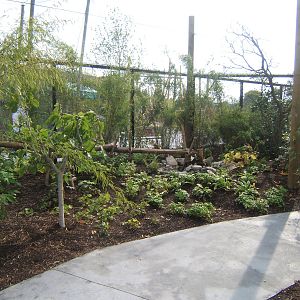 View inside Bali Aviary