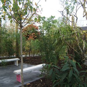 View inside Bali Aviary