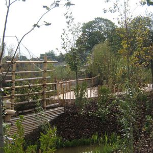 View towards Sumatran Tiger enclosure