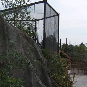 View of out door Rhinoceros Hornbill aviary in Monsoon Forest