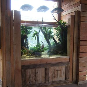 View of fish tank waiting stocking