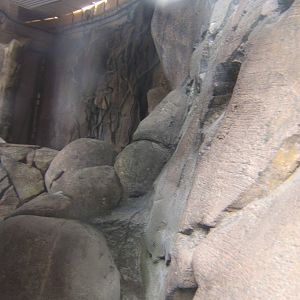 View of what will be 3 herp exhibits